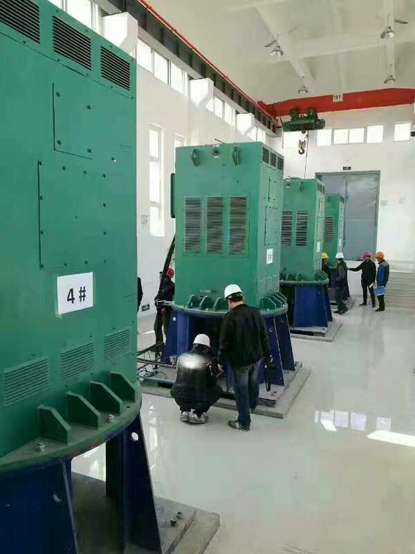 甘洛某污水处理厂使用我厂的立式高压电机安装现场